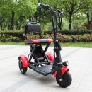 Seniorenmobile MoBot  6 oder 15km/h 15km/h - Ohne Stra&szlig;enzulassung